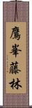 鷹峯藤林 Scroll