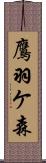 鷹羽ケ森 Scroll