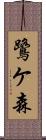 鷺ケ森 Scroll
