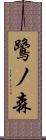 鷺ノ森 Scroll