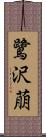 鷺沢萠 Scroll