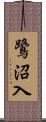 鷺沼入 Scroll