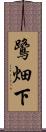 鷺畑下 Scroll