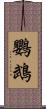 鸚鵡 Scroll