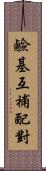 鹼基互補配對 Scroll