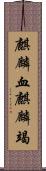 麒麟血 Scroll