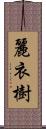 麗衣樹 Scroll