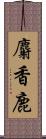 麝香鹿 Scroll