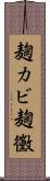 麹カビ Scroll