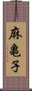 麻亀子 Scroll