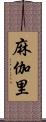 麻伽里 Scroll