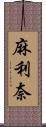 麻利奈 Scroll