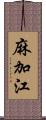 麻加江 Scroll