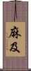 麻及 Scroll