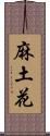 麻土花 Scroll