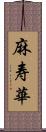 麻寿華 Scroll