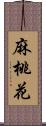 麻桃花 Scroll