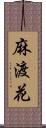 麻渡花 Scroll