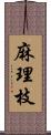 麻理枝 Scroll