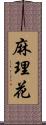 麻理花 Scroll