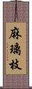 麻璃枝 Scroll