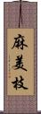 麻美枝 Scroll