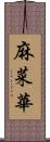 麻菜華 Scroll