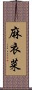 麻衣菜 Scroll