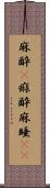 麻酔(P);痲酔;麻睡(iK) Scroll