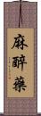 麻醉藥 Scroll