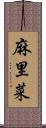 麻里菜 Scroll