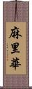 麻里華 Scroll