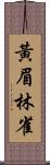 黃眉林雀 Scroll