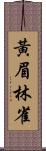 黃眉林雀 Scroll