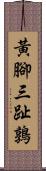 黃腳三趾鶉 Scroll