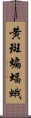 黄斑蝙蝠蛾 Scroll