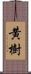 黄樹 Scroll