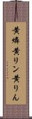 黄燐 Scroll
