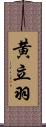 黄立羽 Scroll