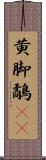 黄脚鷸(rK) Scroll