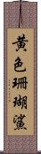 黄色珊瑚鯊 Scroll