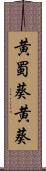 黄蜀葵 Scroll