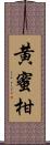 黄蜜柑 Scroll