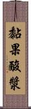 黏果酸漿 Scroll