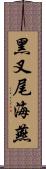 黑叉尾海燕 Scroll