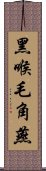 黑喉毛角燕 Scroll