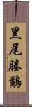 黑尾塍鷸 Scroll