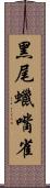 黑尾蠟嘴雀 Scroll