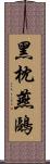 黑枕燕鷗 Scroll