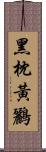 黑枕黃鸝 Scroll